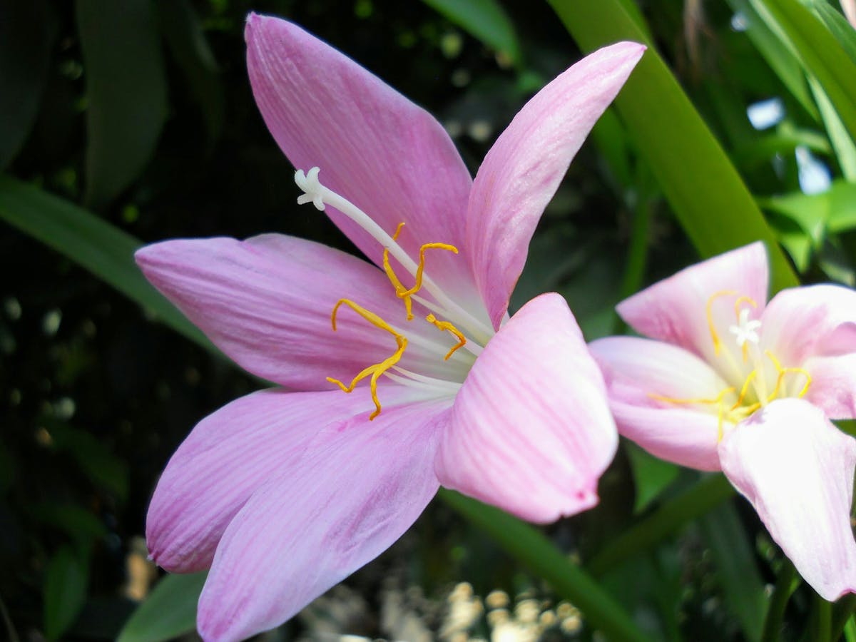 Engineer analyzing chip design on multiple monitors in a lab