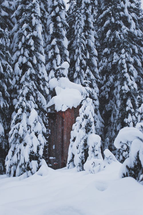 Free stock photo of building, contrast, deep snow