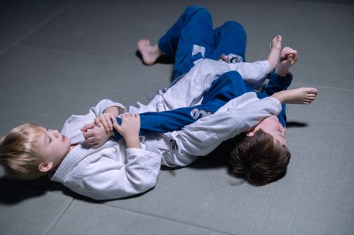Free Two young boys practicing judo grappling techniques indoors on a mat. Stock Photo