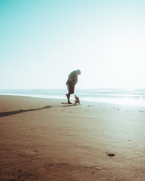 A Man Walking with His Dog in the Seashore