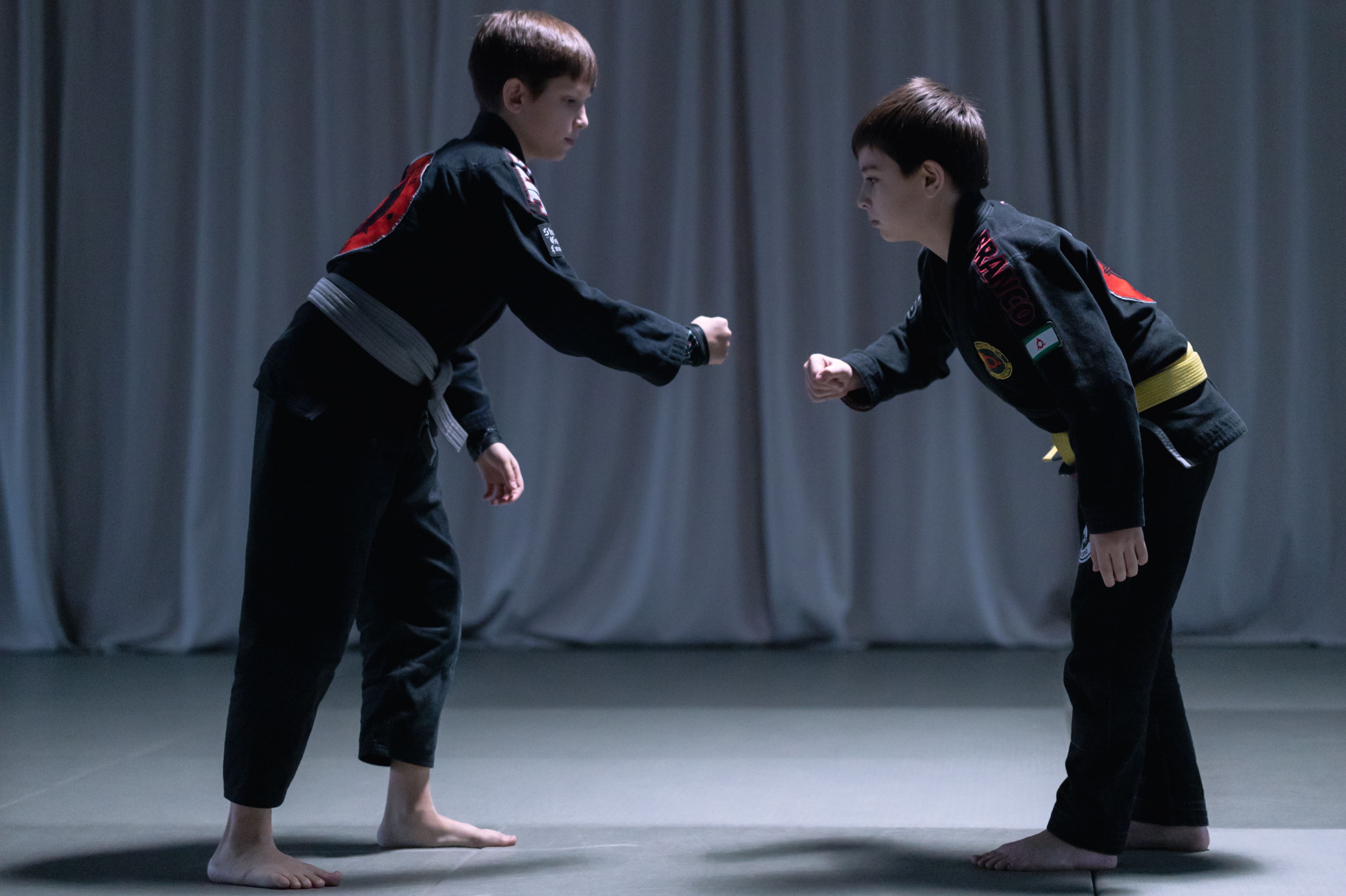 90,000+ Best Martial Arts Photos · 100 Free Download · Pexels Stock Photos