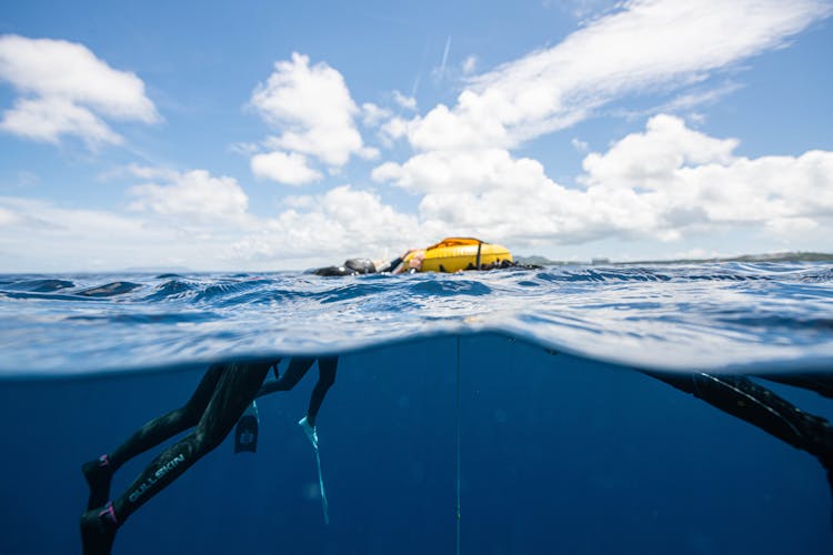 Group Of Divers Swimming In Sea