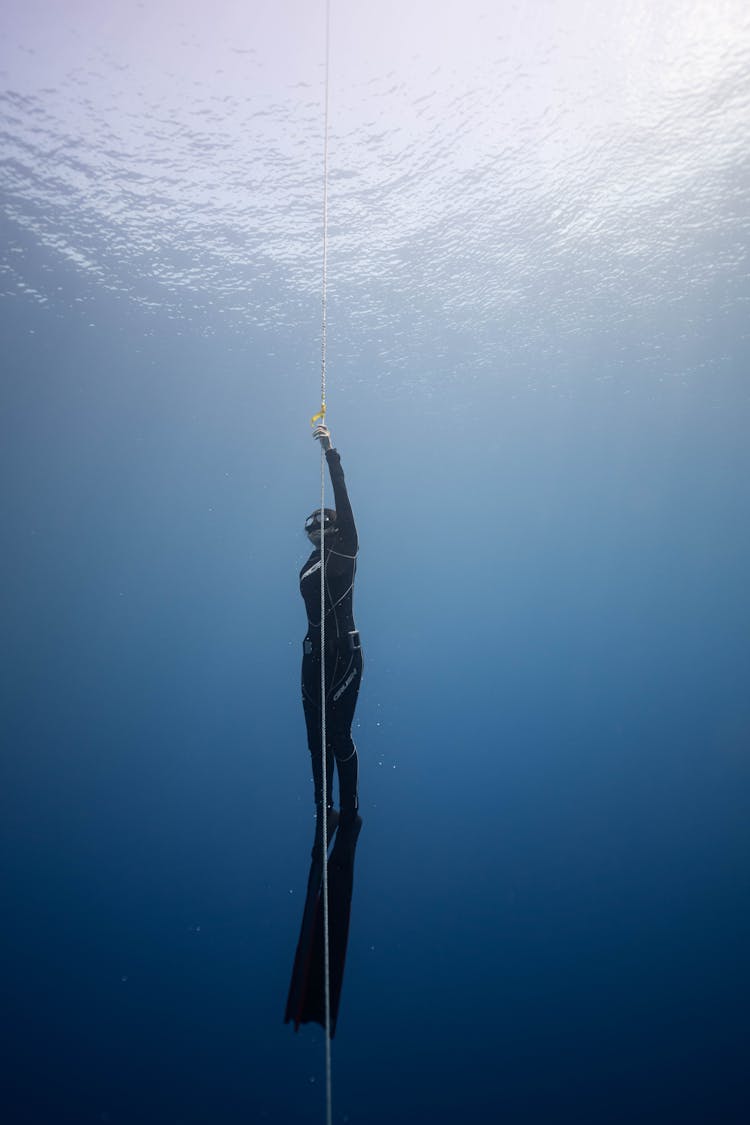 Diver Rising To Water Surface