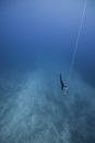 Diver with rope in ocean abyss