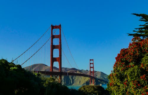 golden gate köprüsü, köprü, San Francisco içeren Ücretsiz stok fotoğraf