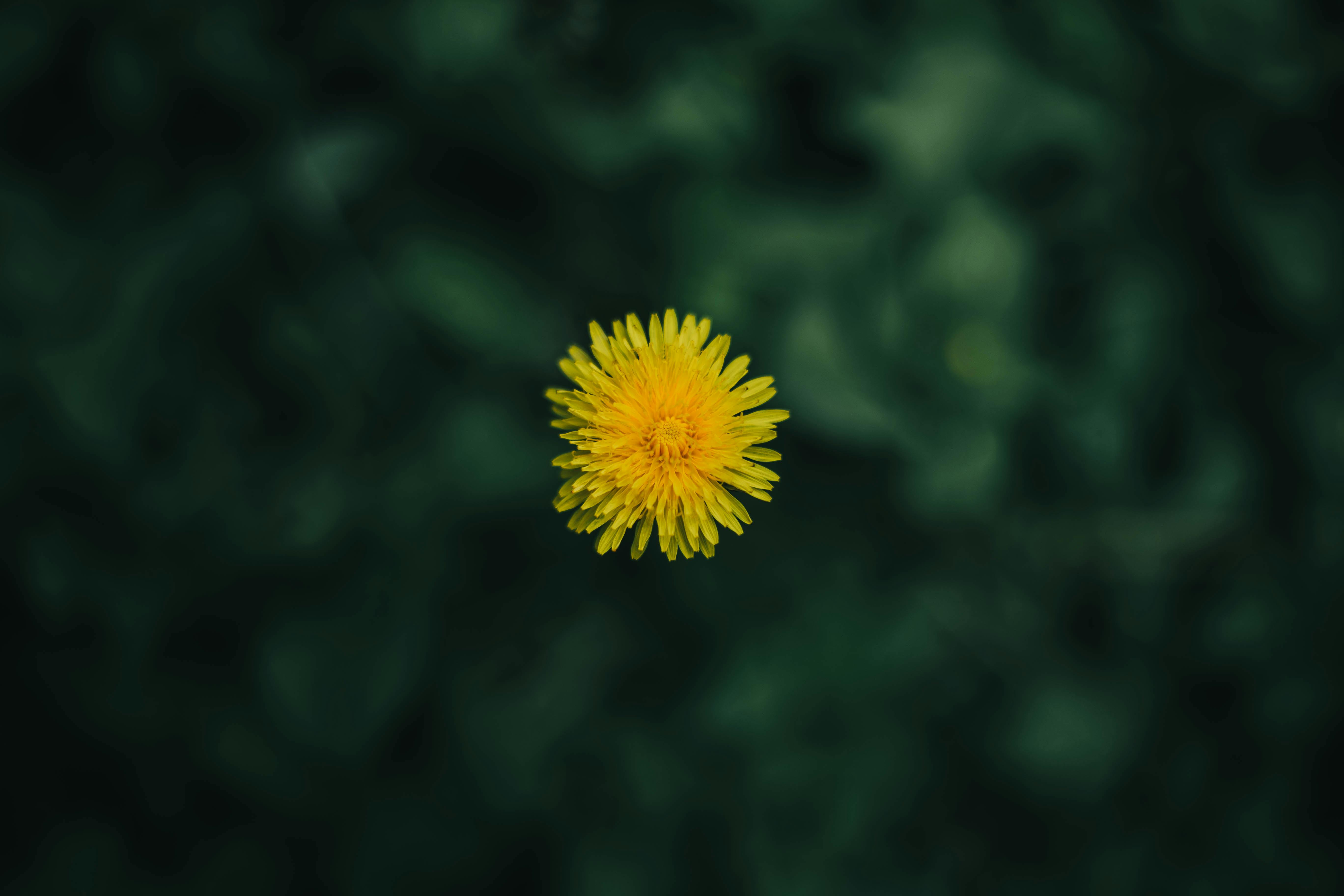 Person using computer with accessibility needs