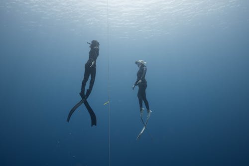 Anonymous people diving underwater in sea near cable