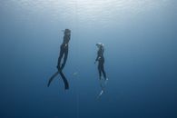 Anonymous people diving underwater in sea near cable