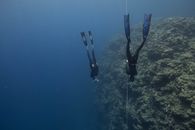Unrecognizable divers in blue sea