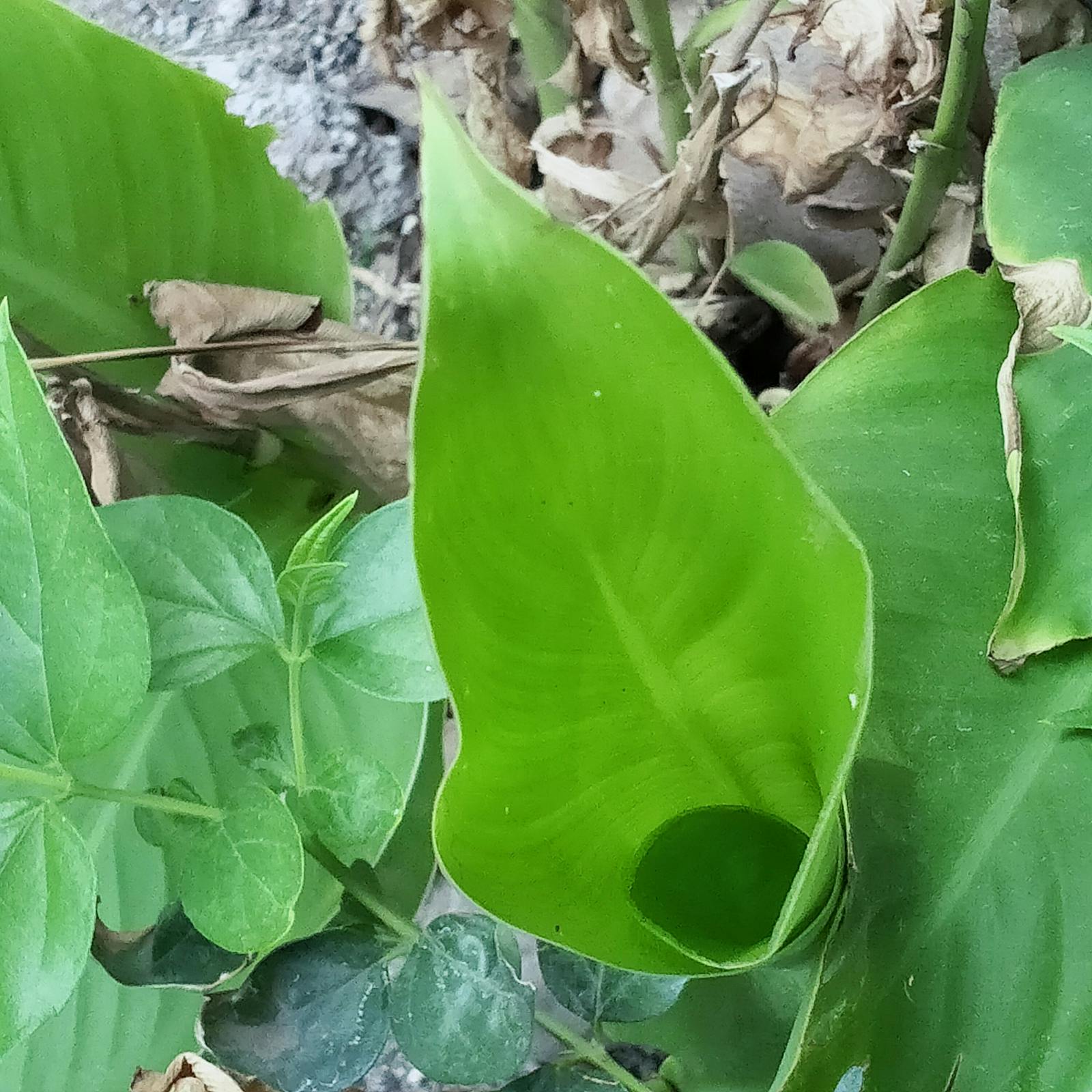 EV charging on a road trip