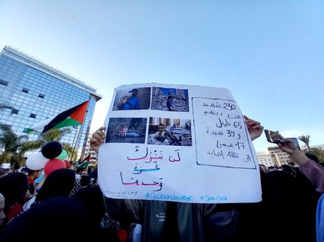 Gaza Flotilla Fallout: Activists Demand Ottawa Answer for Canada's Role