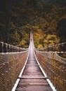 Picturesque view of narrow wooden suspension footbridge leading through green lush woodland in fall season