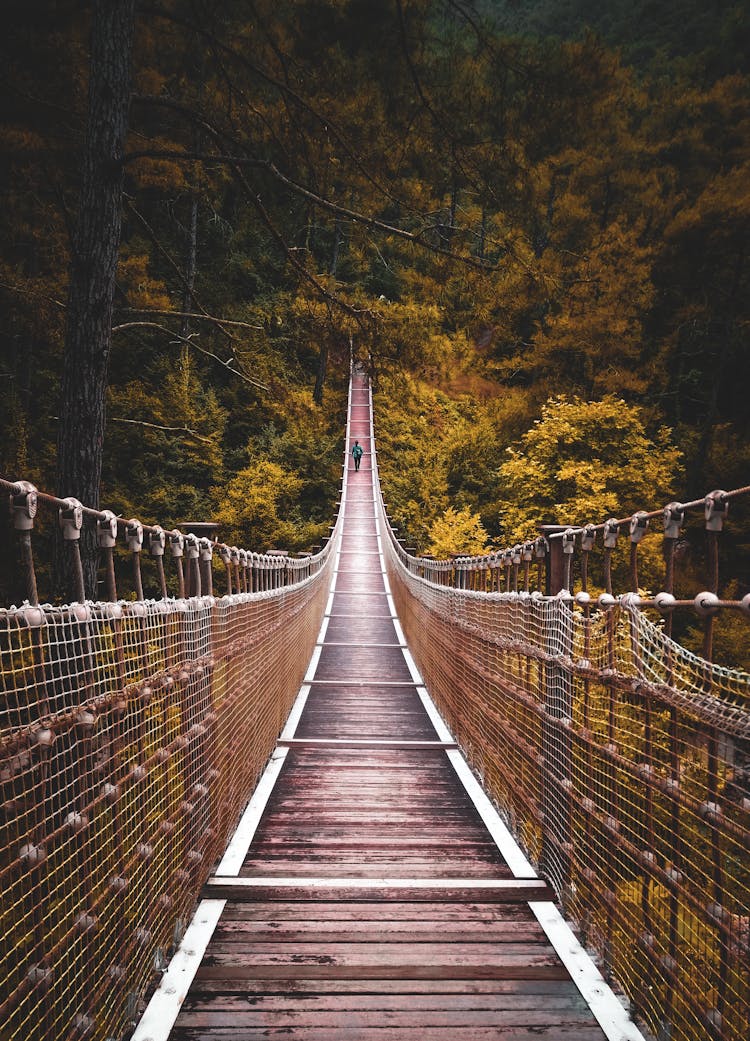 Wooden Suspension Footbridge Through Autumn Forest