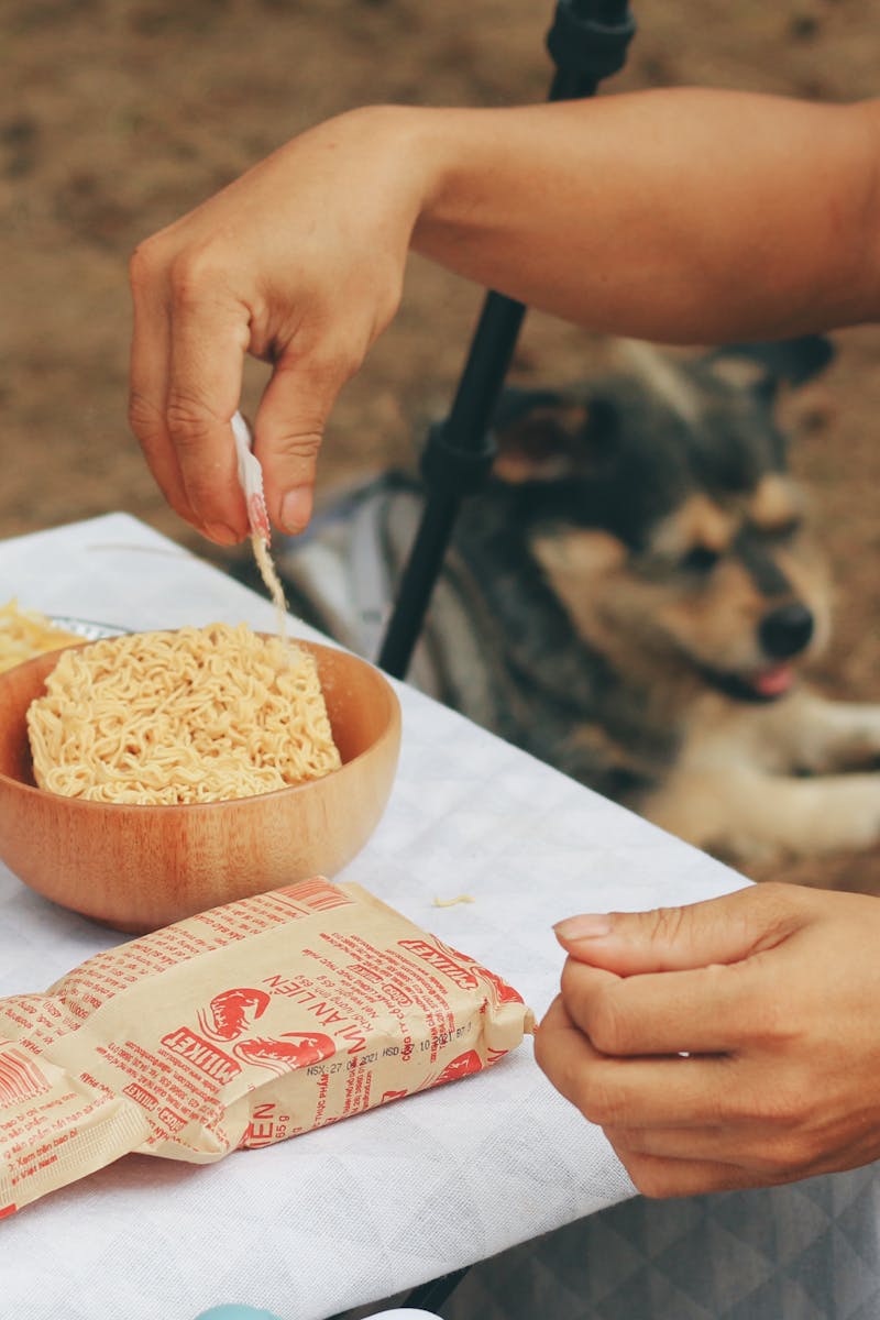 101 Camping Outdoor Recipes