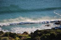 Green Grass on Rocky Shore