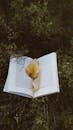 A Close-Up Shot of an Opened Book with Dried Leaves