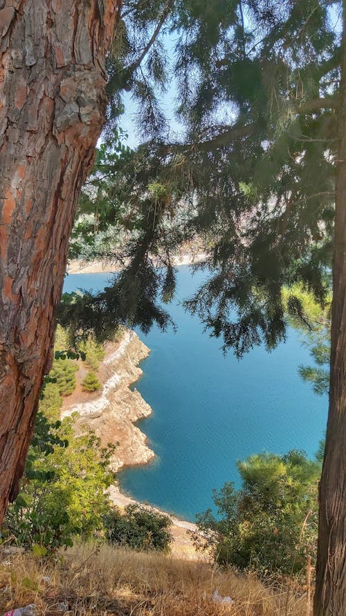 非常律师禹英禑