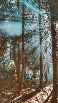 Image by yasemin .