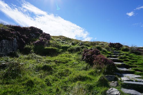 Kostnadsfri bild av berg, bergsvägen, irland