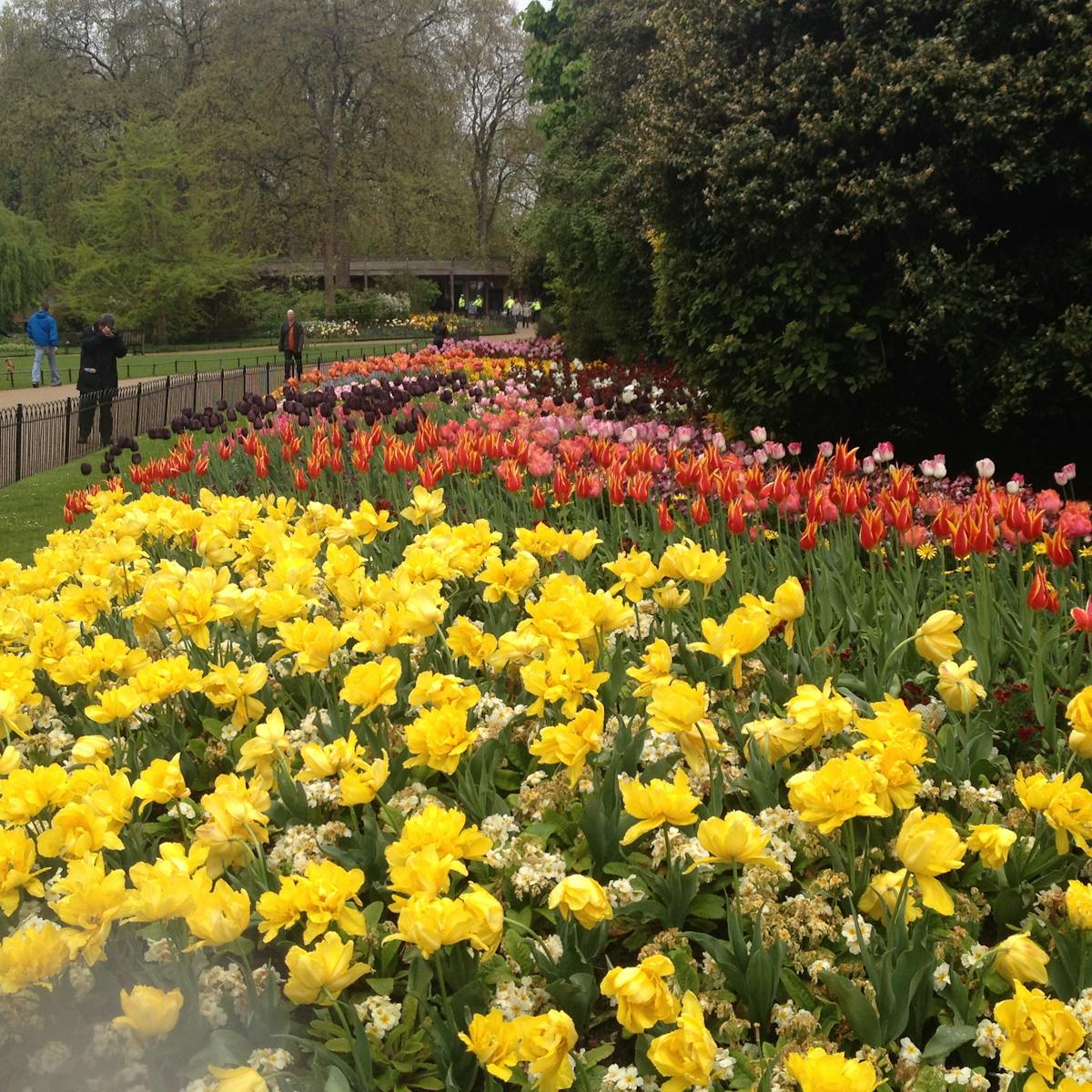 Le Kyokushin : le Karaté du contact réel qui a révolutionné les arts martiaux de combat