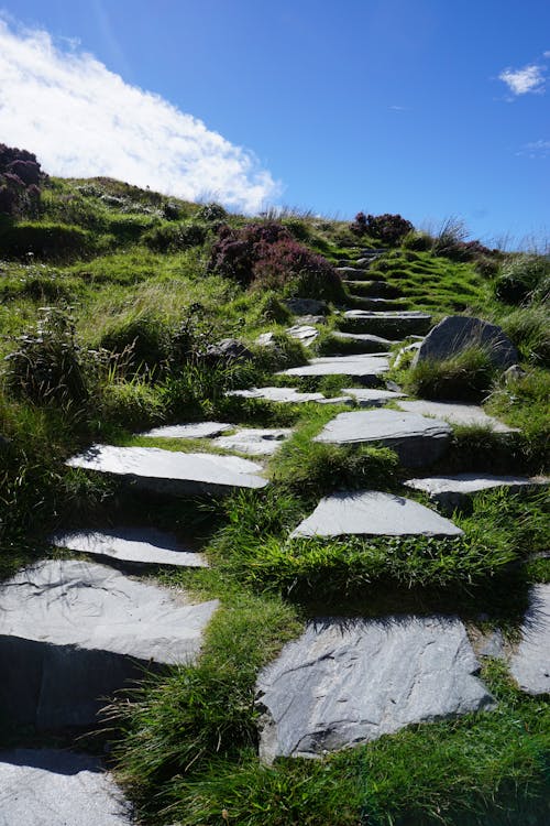 Kostnadsfri bild av berg, bergsvägen, irland