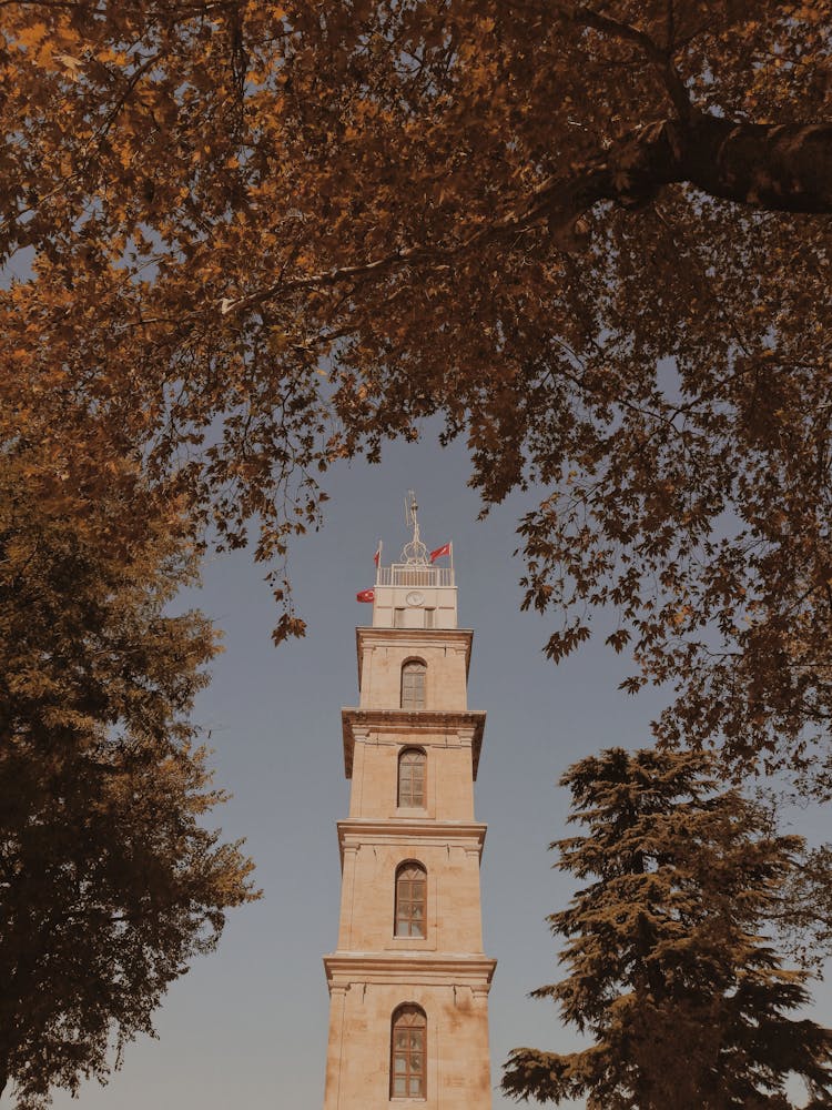 Low Angle Shot Of Tophane CLock Tower