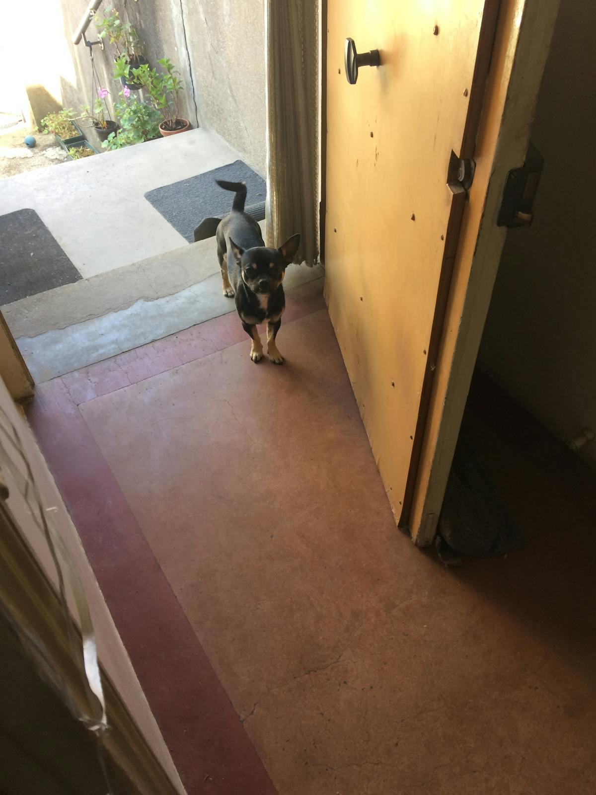 A person scrolling entertainment news on a laptop with multiple headlines visible