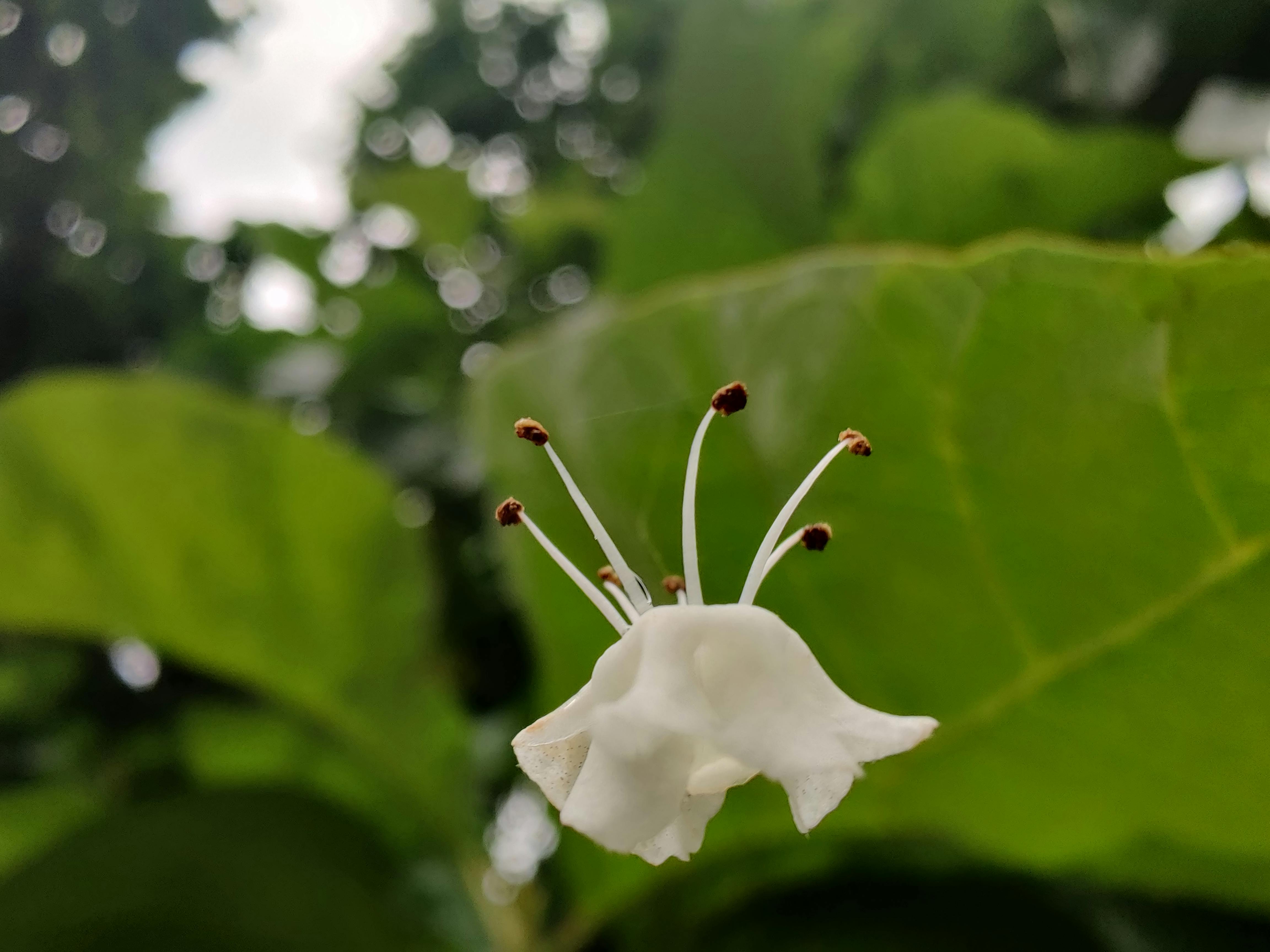 View of Washington D.C. skyline at sunset