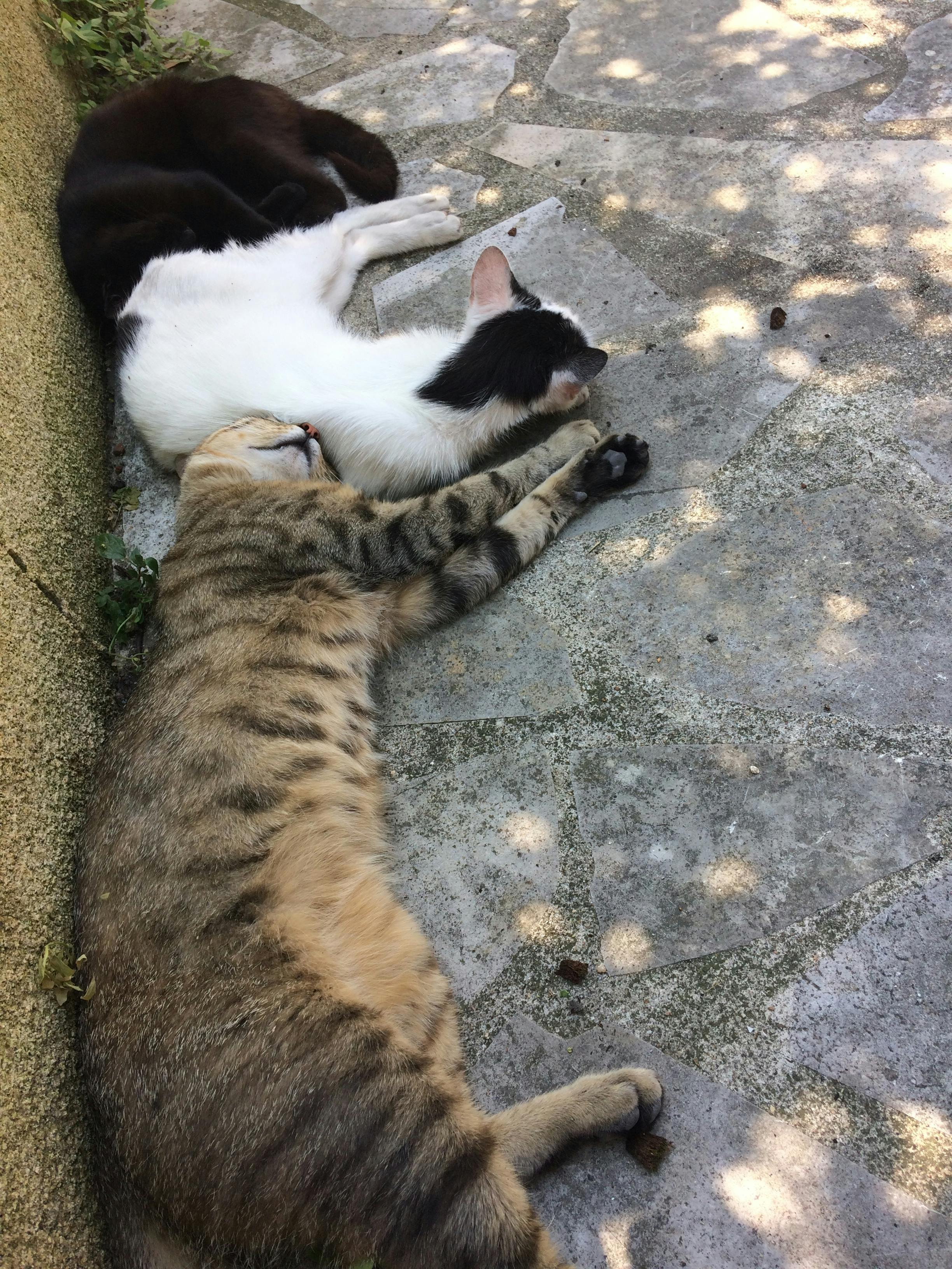 Vintage television set glowing in a dark room