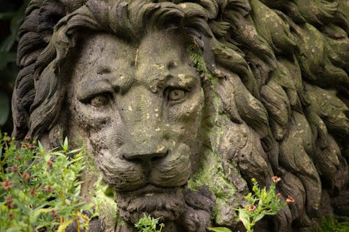 Kostnadsfri bild av aslan, lejon, lejon staty