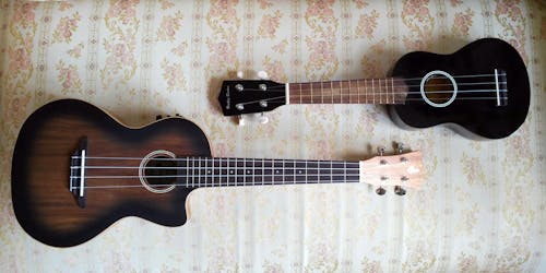 Kostnadsfri bild av sopran ukulele, tenor ukulele, två ukuleler