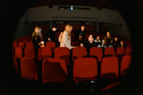 People Sitting Inside the Cinema