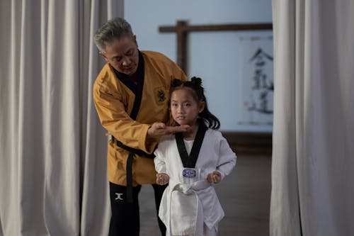 Foto profissional grátis de artes marciais, caratê, coach