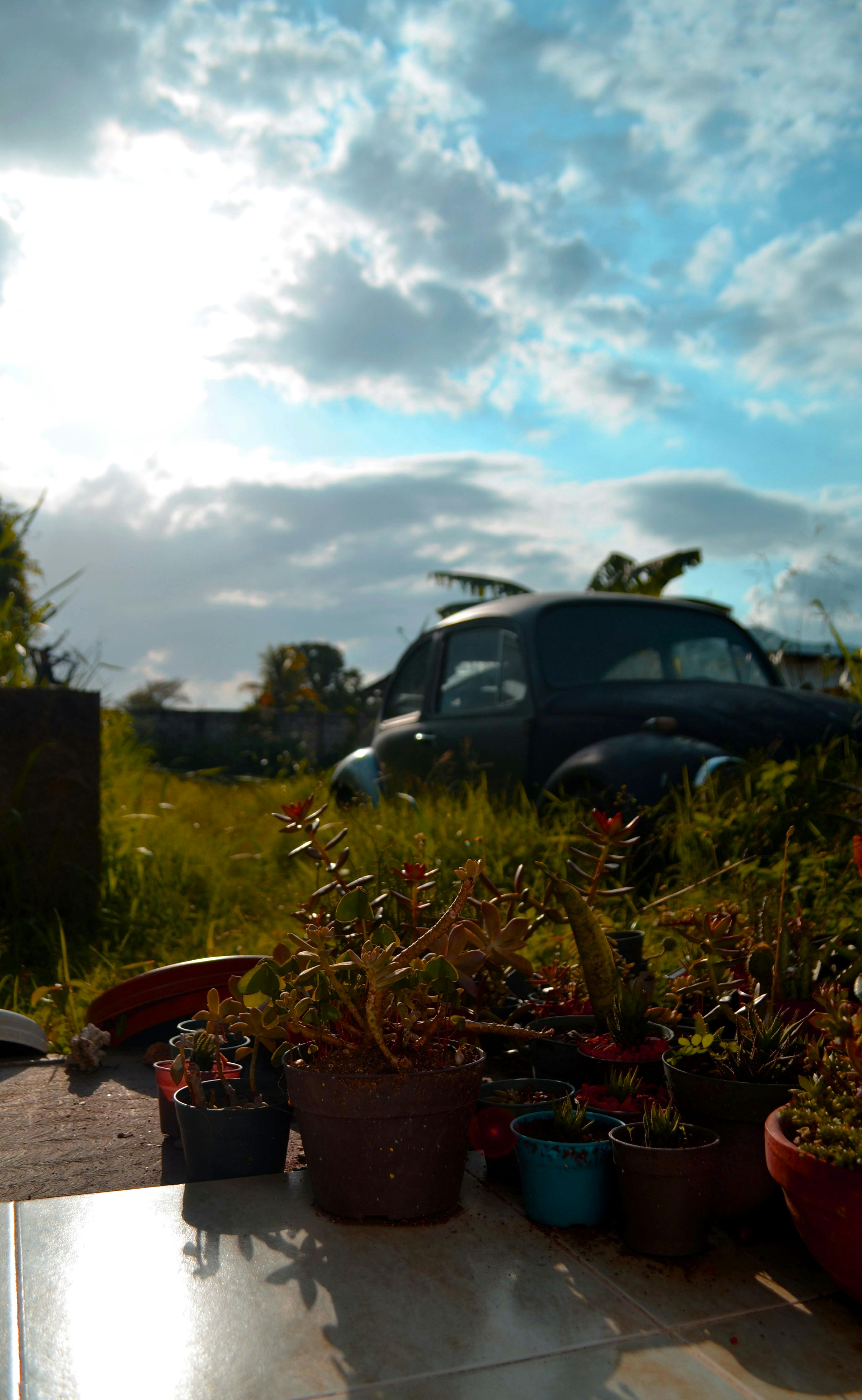 A close-up of a server rack with blinking lights, representing edge computing.