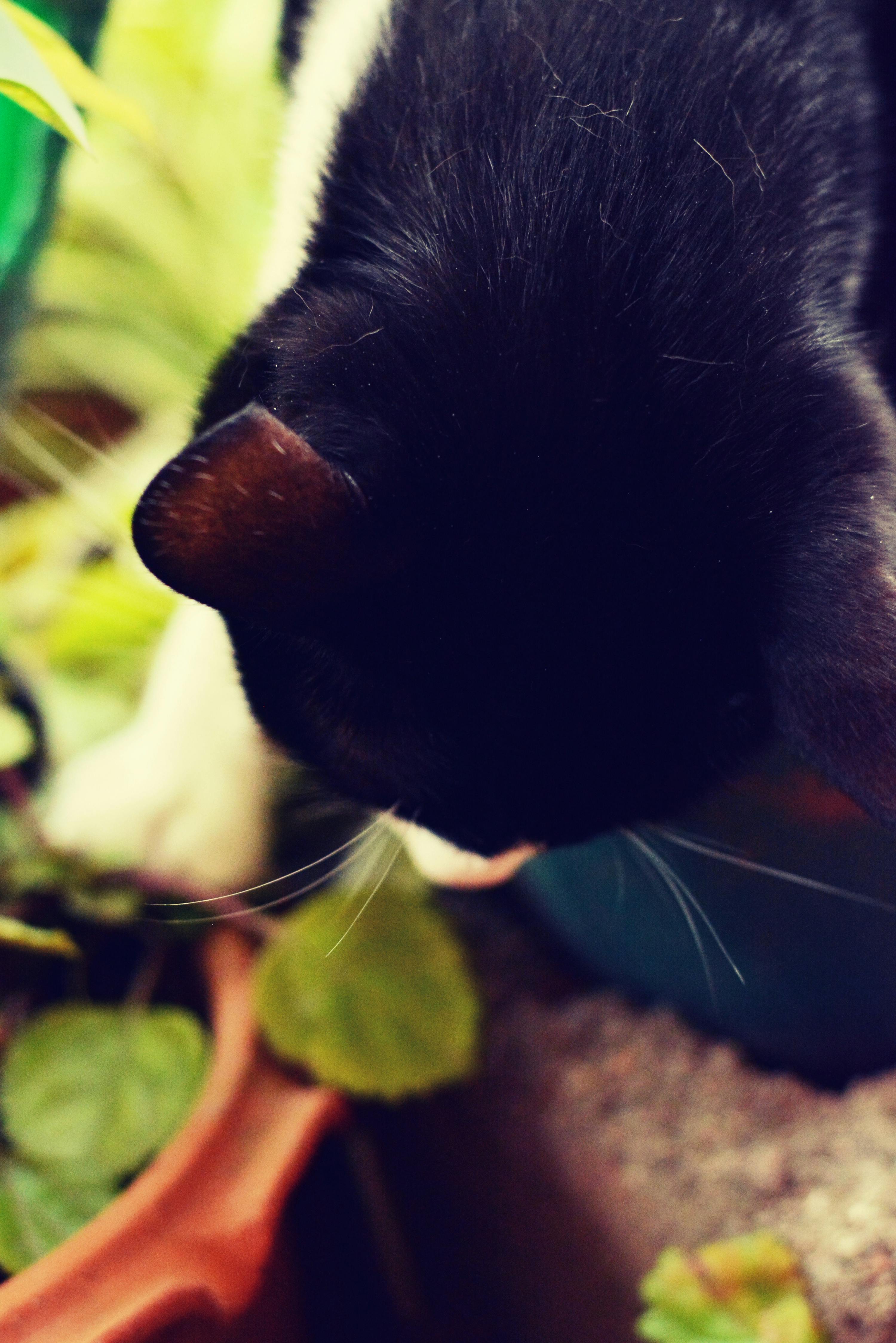 Empty cinema seats representing the fading of stardom