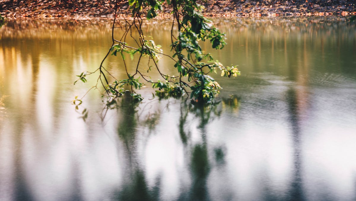Young woman with long hair lit by stage lights, evoking a musical casting audition