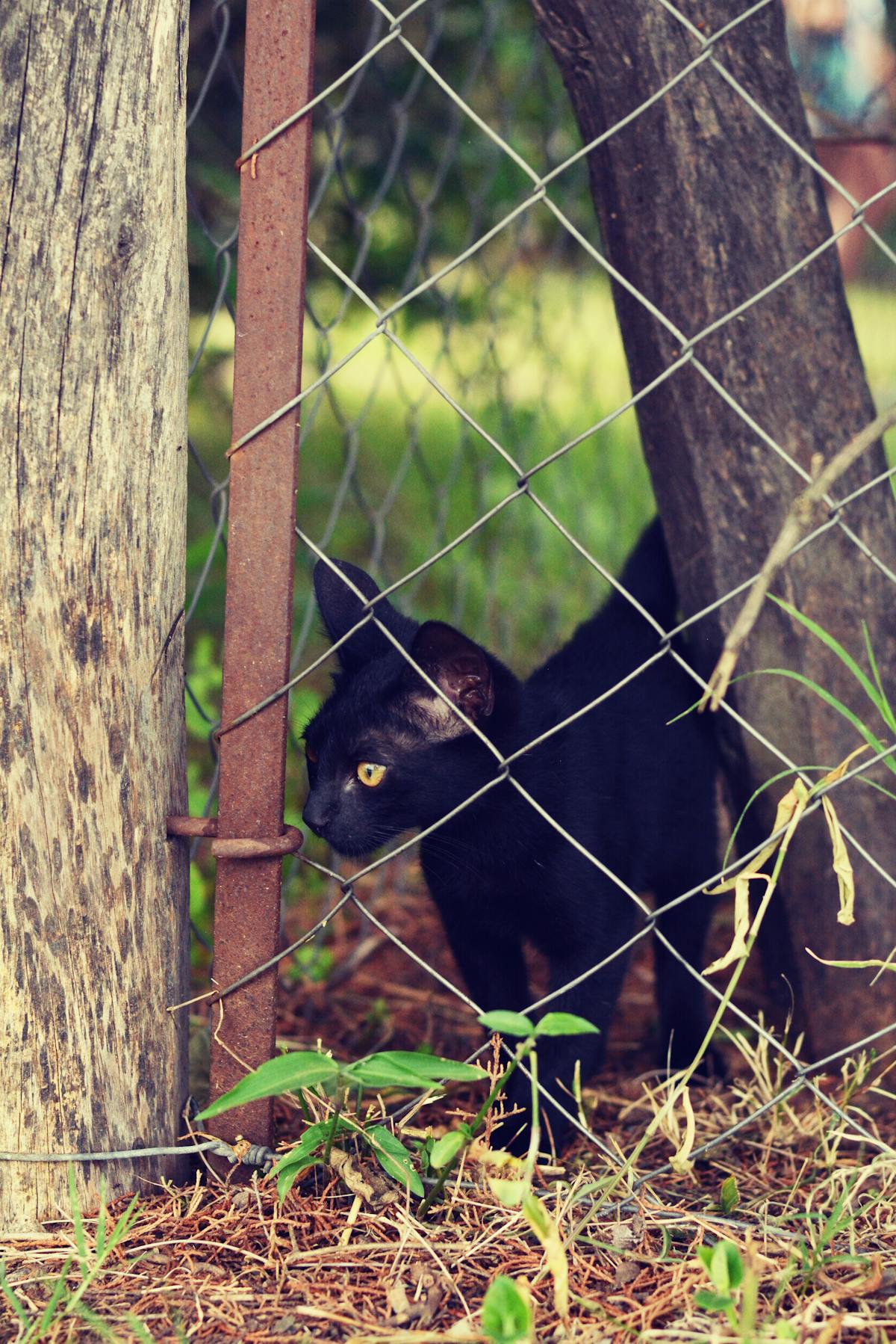 Empty movie theater auditorium with glowing screen and seats
