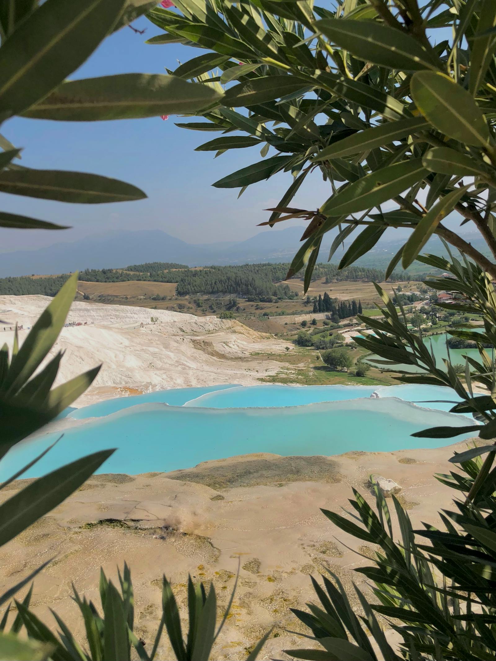 Empty indie cinema auditorium with red seats and a large screen