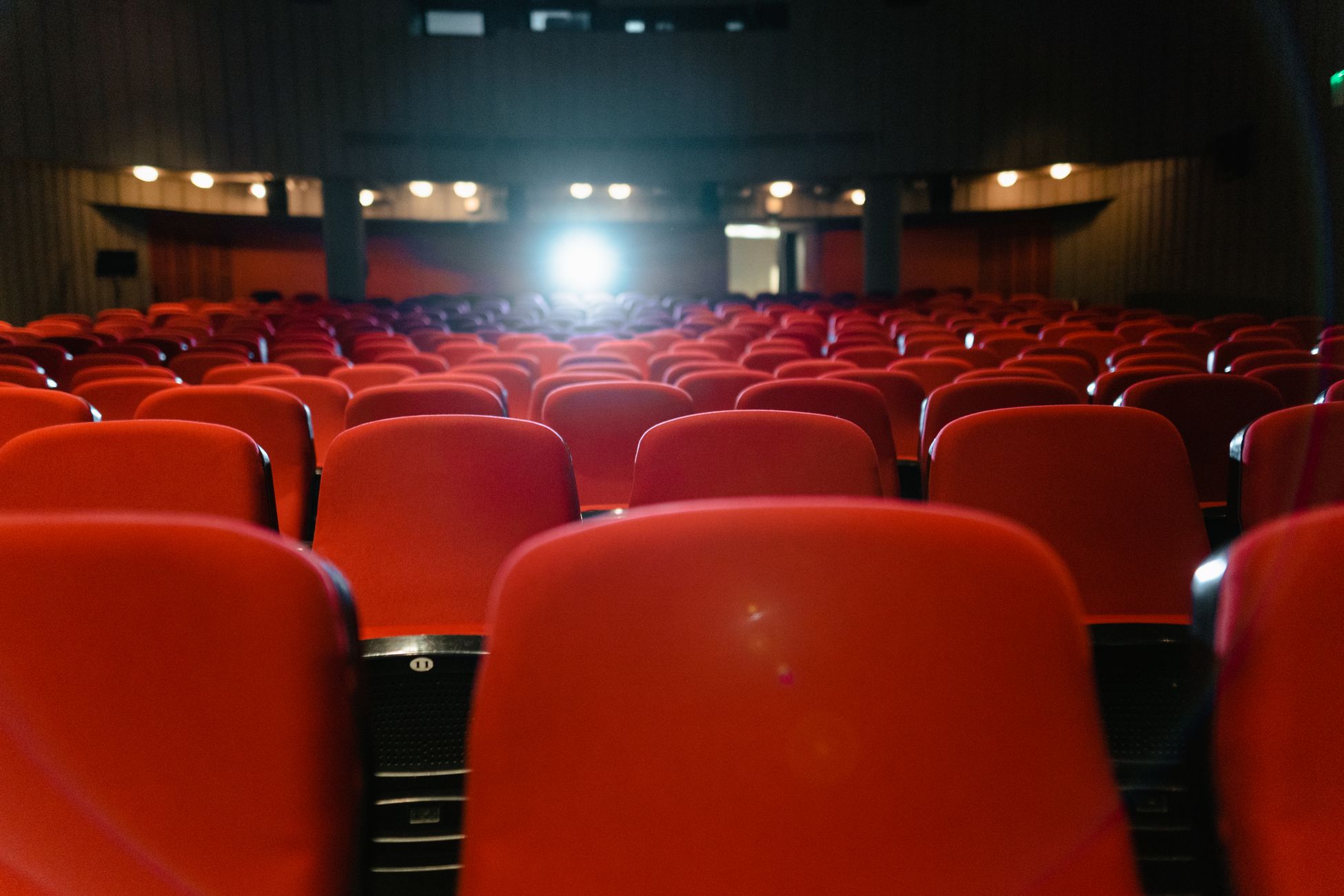 Groninger Filmdagen zoekt geld voor festival en nieuw filmprogramma