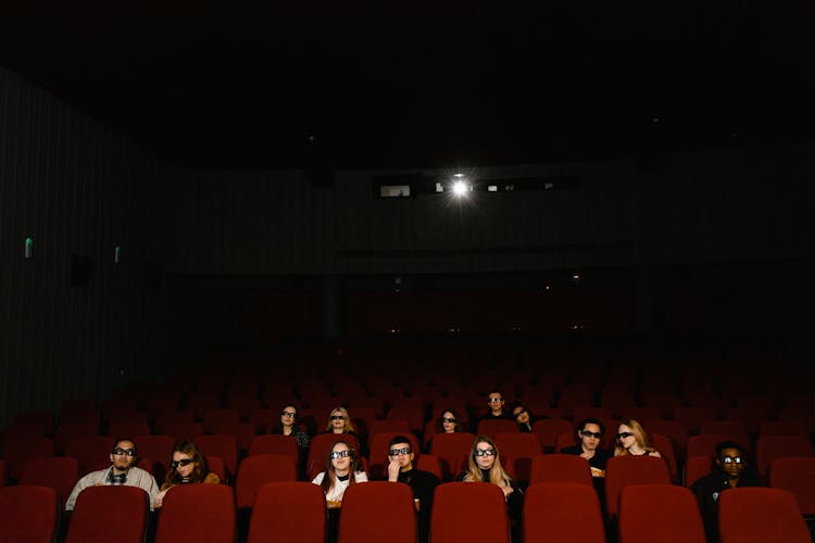 Audience In A Movie Theater