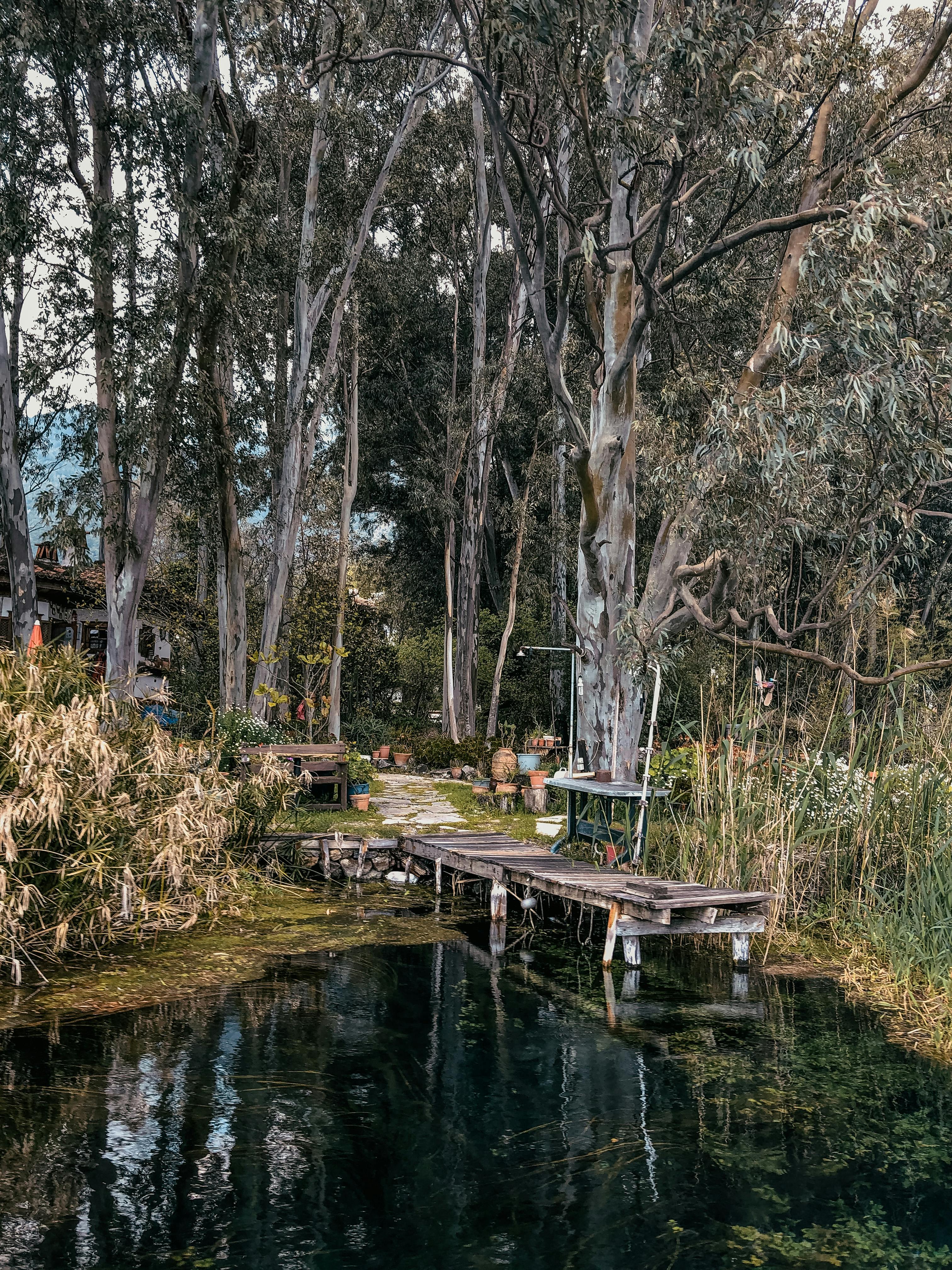 Close-up of a TV screen with remote control in hand, ready to watch movies