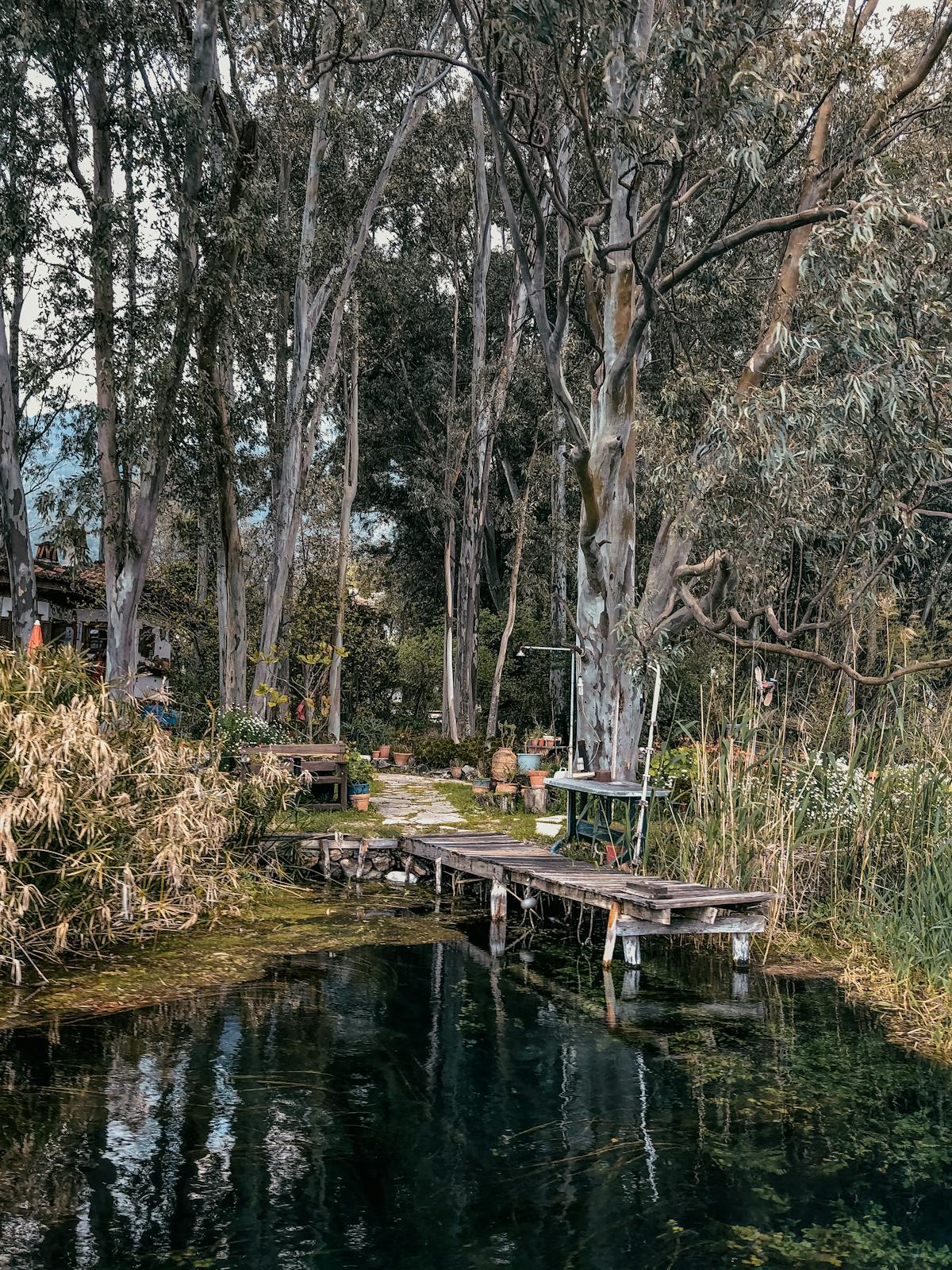 Multiple streaming apps displayed on a TV screen, including Netflix
