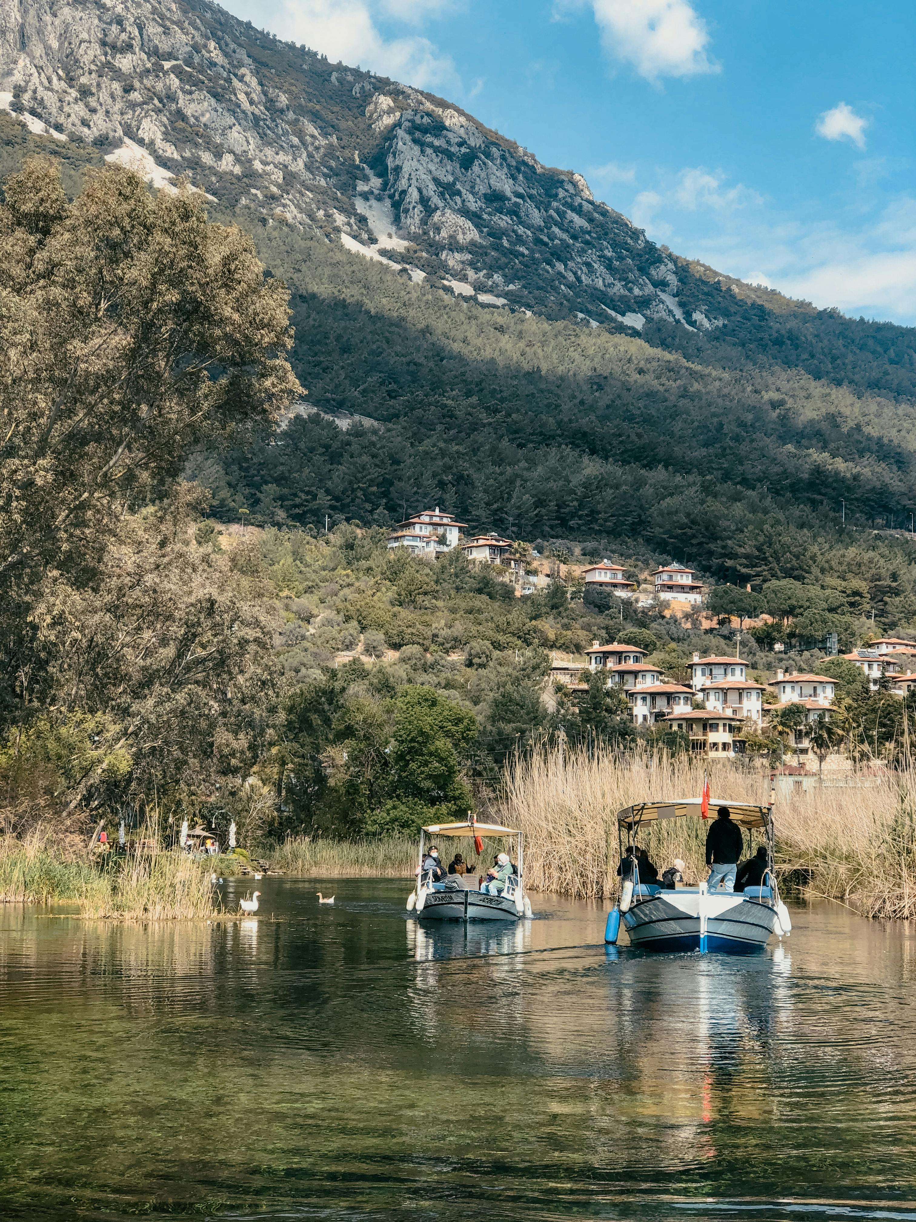 Rows of cinema seats facing a movie screen, symbolizing the theatrical experience