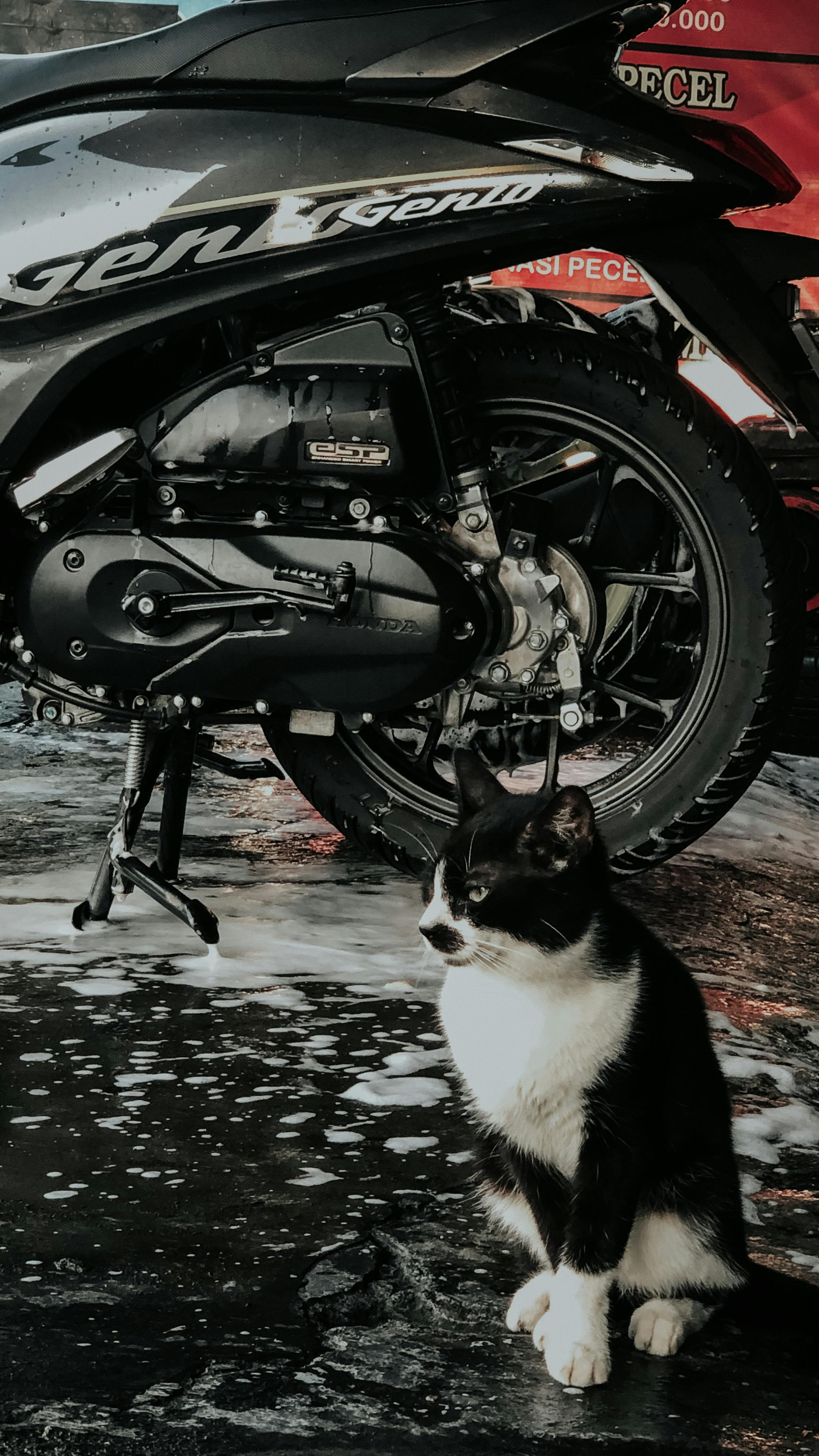 TV production crew filming a live event in an arena setting