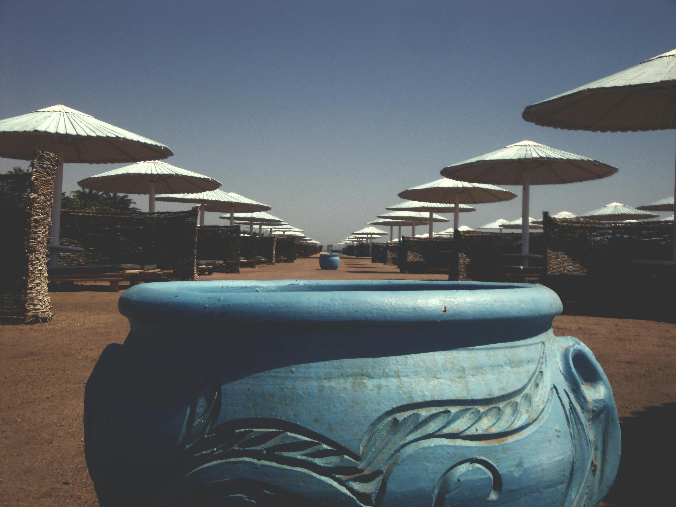 Musculação com halteres