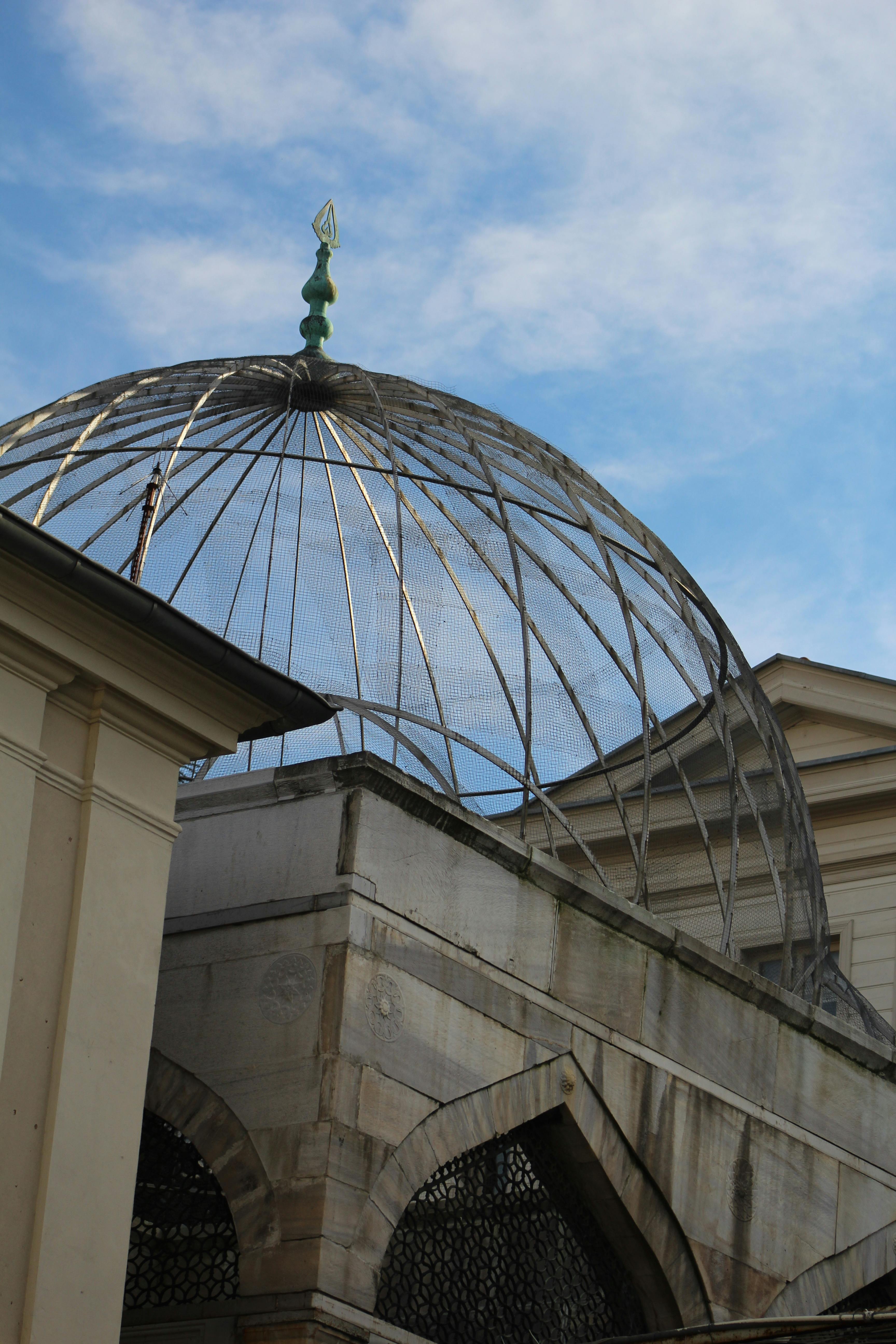 Boxer celebrating victory with arms raised in the ring