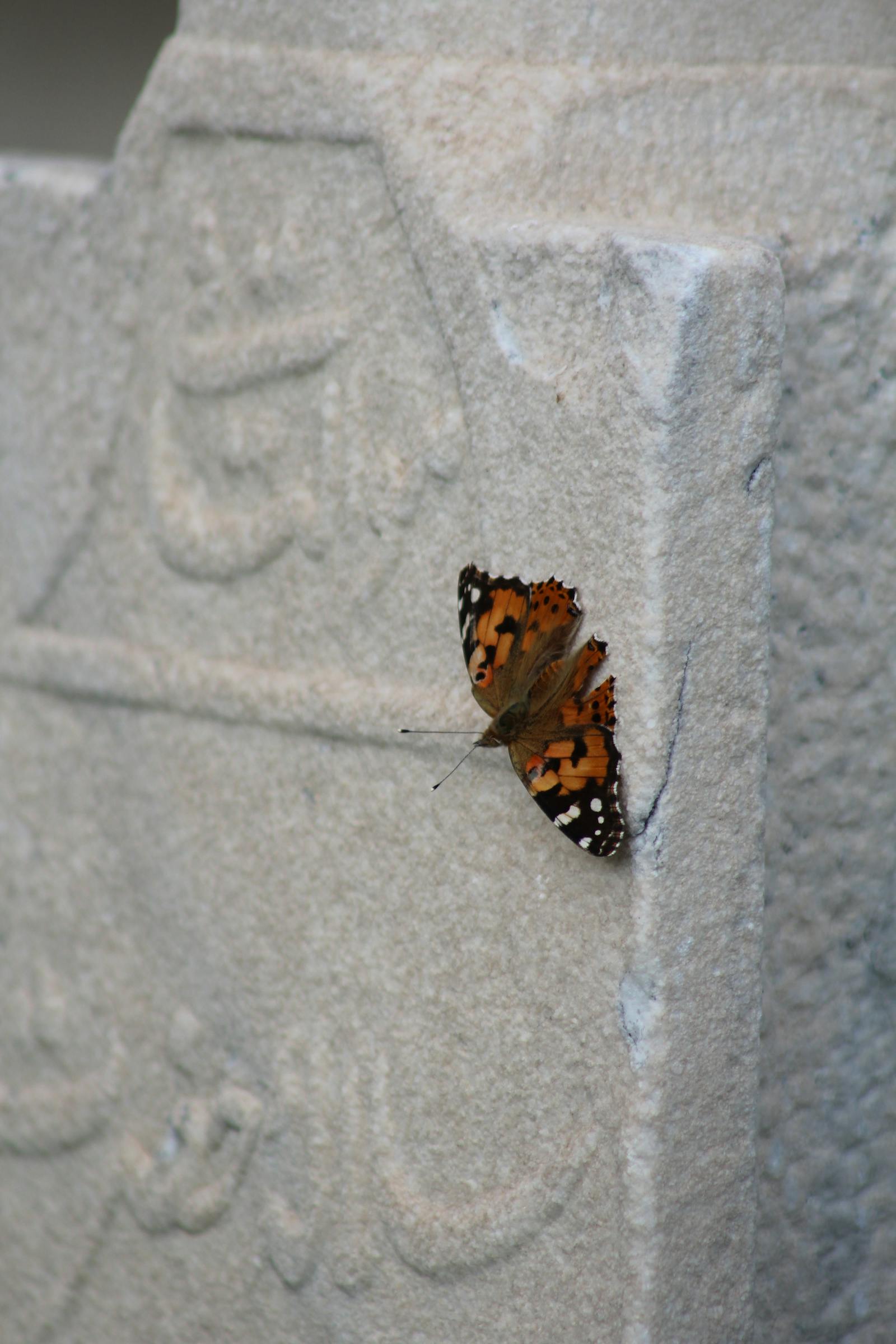 Two wrestlers locking up in a ring during a tag team match