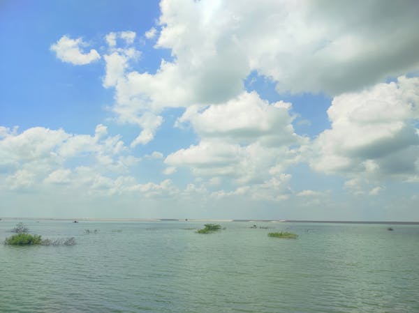 Studio Expansion 1915