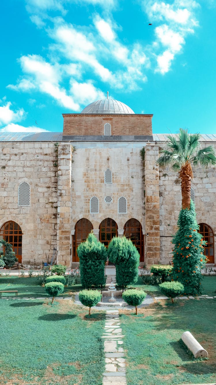 Plants Near Isa Bey Mosque