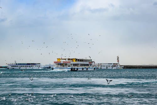 Birds Flying Near Ferries on Body of Water